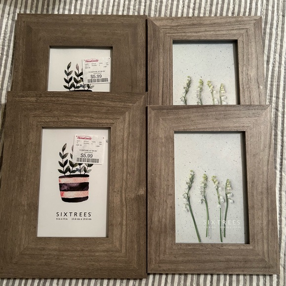 six trees Other - Picture frames, 4 total, never used